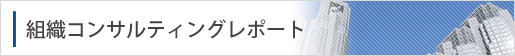組織コンサルティングレポート