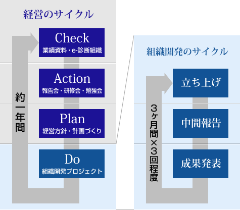 組織開発プロジェクトの全体像の