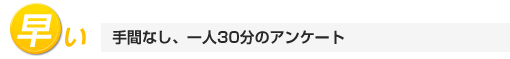 手間なし、一人30分のアンケート